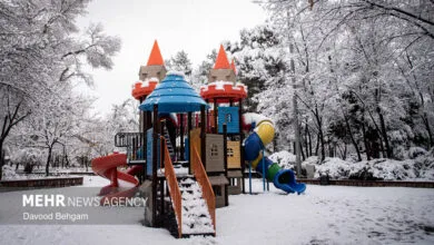 5869915.jpg