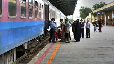 5905371.jpg
