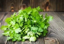 سبزی پرمصرفی که به جنگ سرماخوردگی و آنفلوآنزا می‌رود