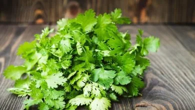 سبزی پرمصرفی که به جنگ سرماخوردگی و آنفلوآنزا می‌رود