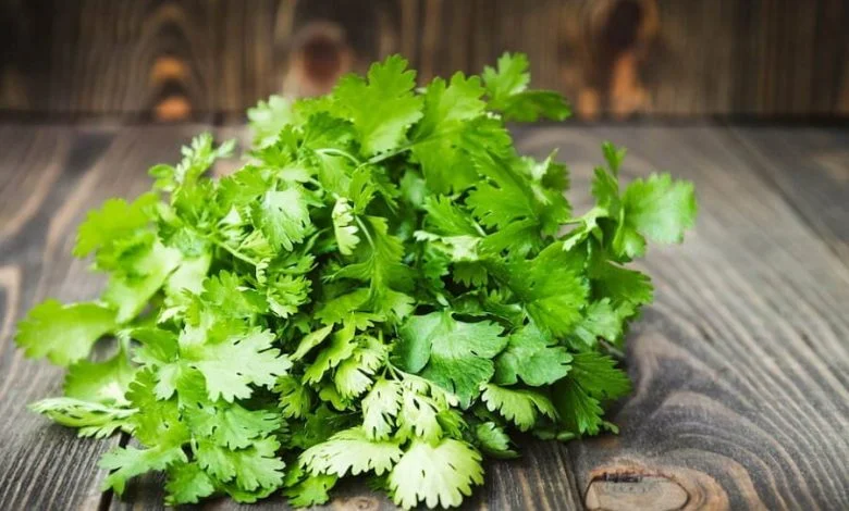 سبزی پرمصرفی که به جنگ سرماخوردگی و آنفلوآنزا می‌رود
